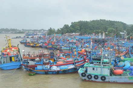 Quảng Ngãi cấm tất cả các tàu, thuyền ra biển hoạt động từ 15 giờ ngày 1/4. 