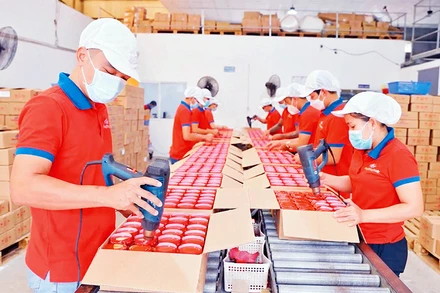 Lao động tại doanh nghiệp Sông Hương Food, TP Hồ Chí Minh. (Ảnh minh họa: Phương Vy)