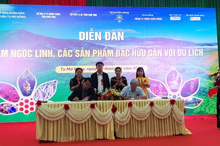 Ký kết biên bản ghi nhớ hợp tác phát triển sâm Ngọc Linh.