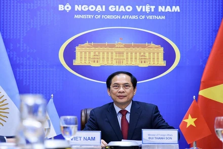 Bộ trưởng Ngoại giao Bùi Thanh Sơn tại cuộc điện đàm. Ảnh: Bộ Ngoại giao