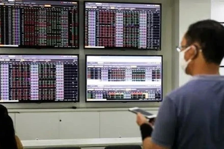 Ảnh minh họa. (Nguồn: TTXVN)