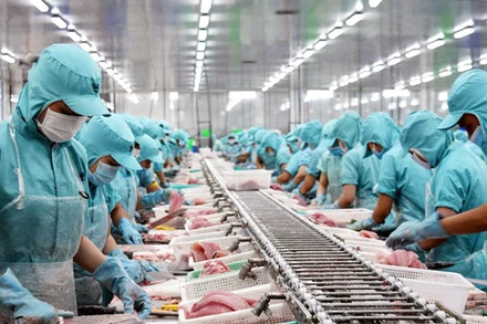 Thủy sản Việt Nam nhiều cơ hội thâm nhập sâu thị trường EU.