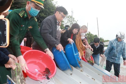 Sở Nông nghiệp và Phát triển nông thôn tỉnh Nam Định tổ chức thả một triệu con giống thủy sản xuống sông Hồng (đoạn qua địa bàn xã Mỹ Tân, huyện Mỹ Lộc) chiều 1/4.