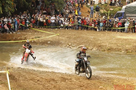 Các vận động viên hạng chuyên nghiệp vượt chướng ngại vật.