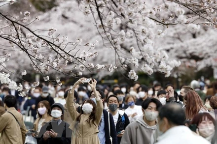 Người dân đeo khẩu trang phòng dịch Covid-19 tại Tokyo, Nhật Bản. (Ảnh: Kyodo/TTXVN)