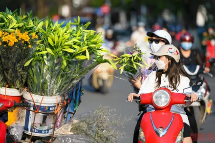 Đường phố Hà Nội. Ảnh: THÀNH ĐẠT