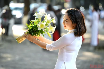 Hoa loa kèn còn có tên gọi khác là hoa huệ tây hay hoa bách hợp…, là loài hoa chỉ nở ngắn ngủi vào cuối tháng 3 và đầu tháng 4. Chính vì vậy hoa loa kèn được ví như loài hoa giao mùa, đưa mùa hạ tới. (Ảnh: THÀNH ĐẠT)