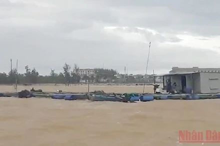 Nhiều lồng bè nuôi cá nguy cơ bị nước cuốn trôi.