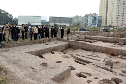 Các nhà khoa học khảo sát tại hiện trường khu khai quật ở gò Dền Rắn.