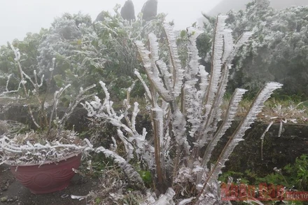 Mẫu Sơn nhiệt độ giảm âm 3,4 độ C