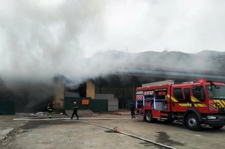 Các lực lượng chức năng nỗ lực dập lửa.