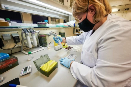 Toàn bộ quy trình giải trình tự gen virus SARS-CoV-2 của Iceland là một ngày rưỡi.