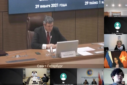 Hội thảo diễn ra theo hình thức trực tuyến.