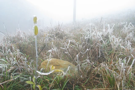 Xuất hiện băng tuyết ở đỉnh Phja Oắc và Mẫu Sơn