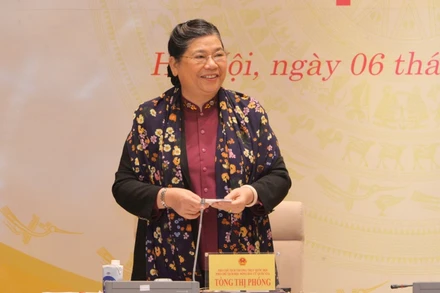 Phó Chủ tịch Thường trực Quốc hội Tòng Thị Phóng phát biểu ý kiến tại phiên họp.