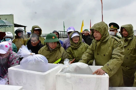 Lãnh đạo Bộ NN&PTNT, tỉnh Thừa Thiên Huế và Đoàn công tác tiến hành thả cá tái tạo nguồn lợi thủy sản. Ảnh: HN