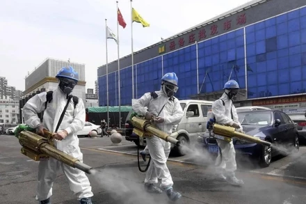 Khử trùng một chợ đầu mối tại Thạch Gia Trang.