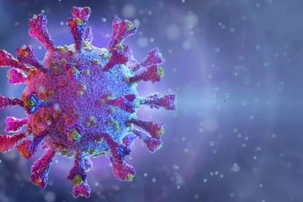 Biến thể mang tên L452R không giống với biến thể gần đây được phát hiện ở Anh. Ảnh: Shutterstock.