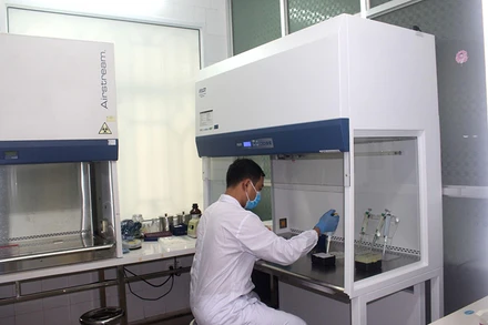 Lấy mẫu trên diện rộng toàn bộ thị xã Kinh Môn, Hải Dương