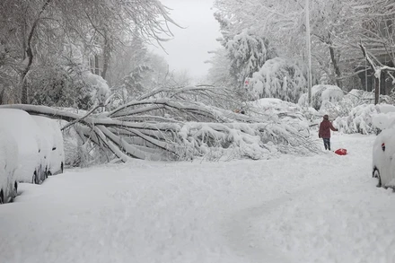 Bão tuyết kỷ lục nhuộm trắng Tây Ban Nha