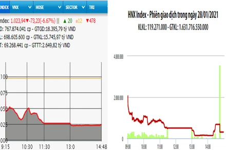 Diễn biến VN-Index và HNX-Index, phiên giao dịch ngày 28-1. 