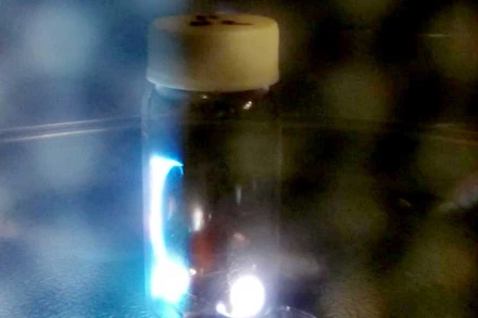 Trong lò vi sóng, tia lửa điện được tạo ra bên trong lọ thủy tinh có chứa bột than và lá đồng. Ảnh: Chris Masi.