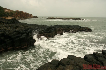 Gành Đá Đĩa, Tuy An, Phú Yên.