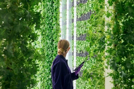 Các trang trại do AI và robot vận hành đang chuyển đổi nền nông nghiệp trên thế giới