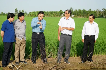 Đoàn công tác Thăm Trung tâm lai tạo giống của Kỹ sư Hồ Quang Cua.