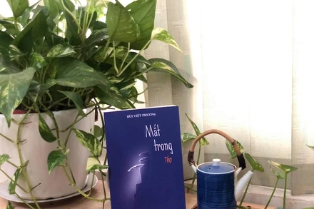 Tập thơ “Mắt trong” của Bùi Việt Phương: Núi rừng trong những chiếc gương nhỏ