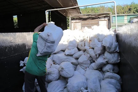 Phát hiện kho lạnh chứa hơn 16 tấn thịt bốc mùi