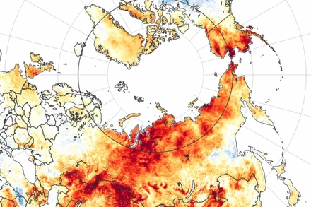 Bắc Cực và bắc Siberia có nhiệt độ trung bình đặc biệt khắc nghiệt vào năm 2020, với một khu vực rộng lớn cao hơn 3 độ C so với mức trung bình dài hạn. Ảnh: NASA / EPA.