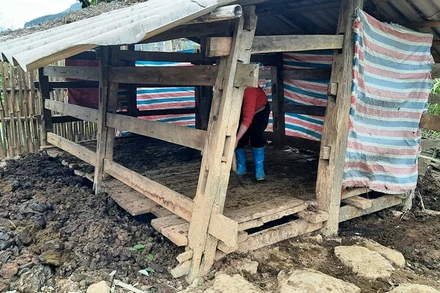 Một chuồng trại chăn nuôi ở huyện Ba Bể che chắn sơ sài, không bảo đảm giữ ấm cho gia súc trong mưa, rét đậm. 