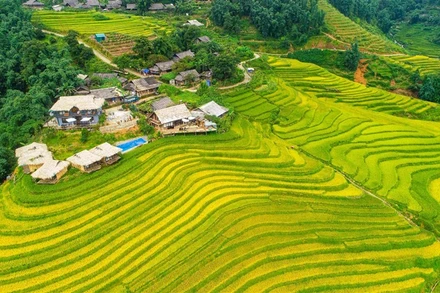 Sa Pa là điểm đến hấp dẫn thu hút khách du lịch quanh năm. 