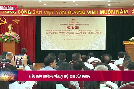 Kiều bào hướng về Đại hội XIII của Đảng