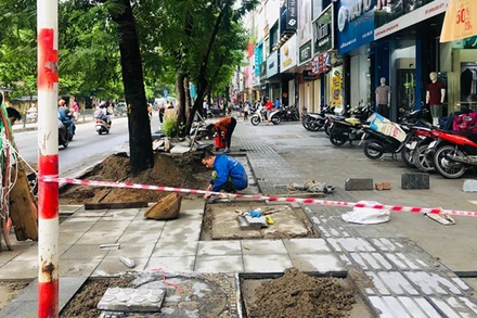 Làm vỉa hè tại phố Chùa Bộc (quận Đống Đa).