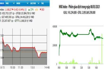 Diễn biến VN-Index và HNX-Index, phiên giao dịch ngày 8-3. 