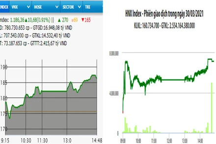 Diễn biến VN-Index và HNX-Index, phiên giao dịch ngày 30-3. 