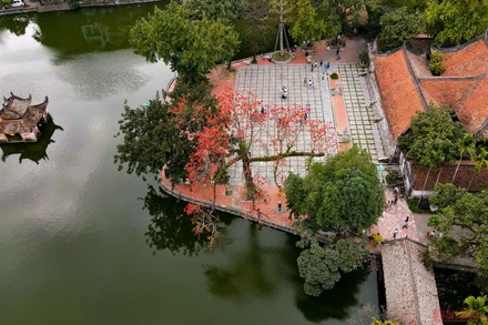 Chùa Thầy mùa hoa gạo thắp lửa