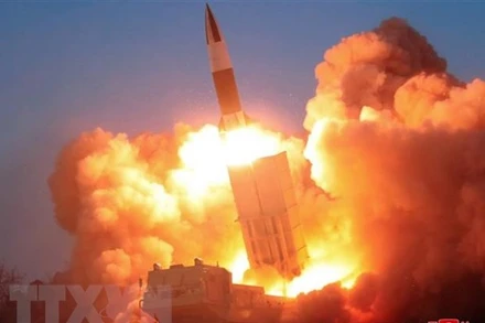 Ảnh minh họa. (Nguồn: Yonhap/TTXVN)