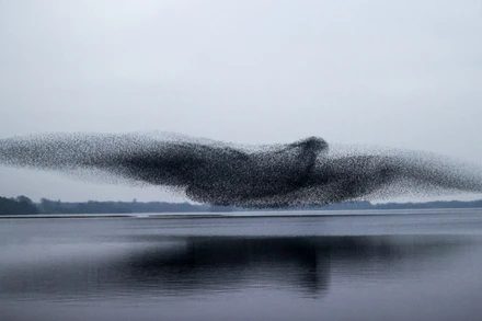 Màn trình diễn vĩ đại của tự nhiên