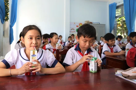 Các em học sinh mầm non, tiểu học tỉnh Bến Tre hiện đang được uống 3 hộp sữa/ngày theo chương trình Sữa học đường của tỉnh.
