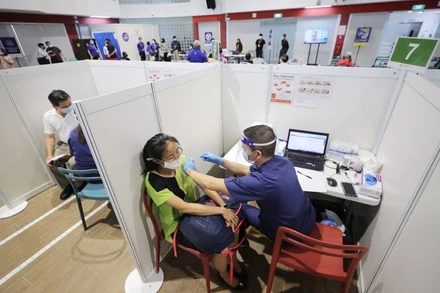 Tại Singapore, hơn 250 nghìn người đã tiêm mũi vaccine ngừa Covid-19 đầu tiên (Ảnh: Straitstimes)