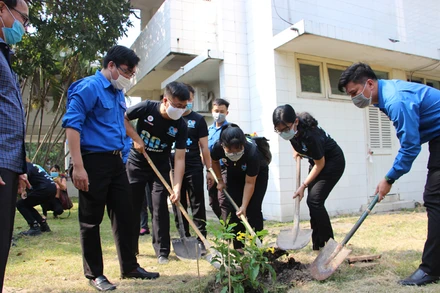 Các đoàn viên, thanh niên các đơn vị trồng cây xanh tại thành phố Thủ Đức