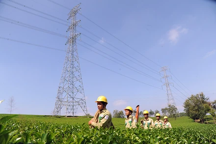 Công nhân Công ty Truyền tải điện Tây Bắc (Tổng công ty Truyền tải điện Quốc) gia kiểm tra, sửa chữa đường dây 500kV Sơn La - Hiệp hòa. Ảnh: NGUYỄN TUẤN