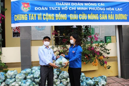Tuổi trẻ TP Móng Cái giúp nông dân Hải Dương tiêu thụ nông sản