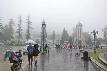 Sa Pa mưa, rét hại 7,5 độ C.