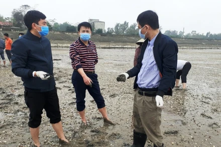 Cán bộ chuyên môn kiểm tra hiện trạng đồng nuôi ngao bị chết.