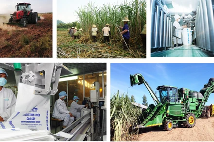 Chiều 23-3, Tọa đàm trực tuyến Cơ hội và thách thức cho ngành mía đường