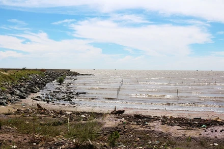 Một góc bãi biển huyện Cần Giờ, TP Hồ Chí Minh.